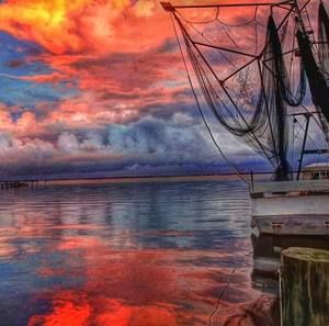 Meet your Posher, Jody